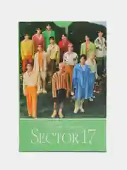 Зеленый карточки k-pop Seventeen, 55 штук