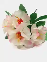 Золотистый хаки искусственные цветы. Климатисы (букет). Композиция. Высота: 210 мм