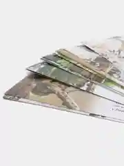 "Зимующие птицы России", обучающие карточки на картоне с познавательным текстом