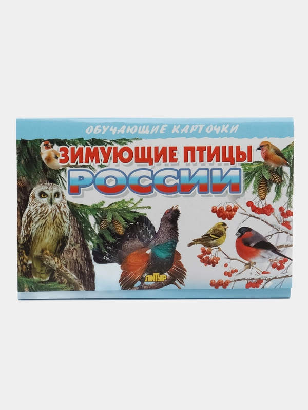 "Зимующие птицы России", обучающие карточки на картоне с познавательным текстом