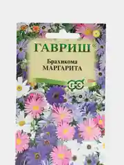 Семена цветы "Брахикома Маргарита"
