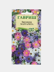 Семена цветы "Брахикома Маргарита"