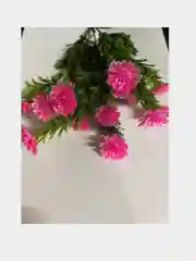 Искусственные цветы для декора, мелкая ромашка