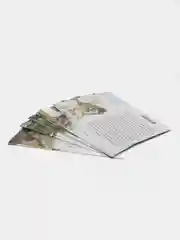 "Зимующие птицы России", обучающие карточки на картоне с познавательным текстом