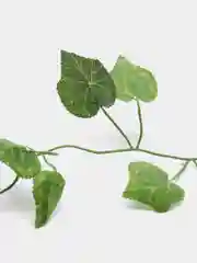 Лайм искусственные листья лианы, 2.1 метра