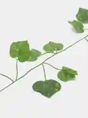 Лайм искусственные листья лианы, 2.1 метра