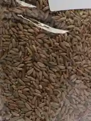 РОЖЬ 1кг. в пакете PLANT!T