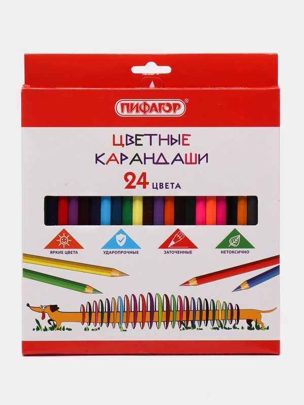 Карандаши цветные для рисования ПИФАГОР "Веселая такса" 24 цвета, классические, 181808