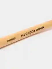 Кисточка (кисть) для рисования, ПОНИ, круглая, № 6, деревянная ручка, колпачок, 200835