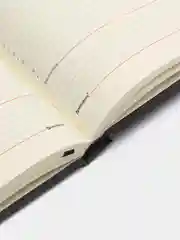 Ежедневник-планер (планинг) - блокнот недатированный А5 Brauberg Status экокожа, 113361