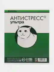 Зеленый тетрадь А5 общая 48 листов в клетку "Котики таблетки"