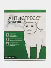 Зеленый тетрадь А5 общая 48 листов в клетку "Котики таблетки"