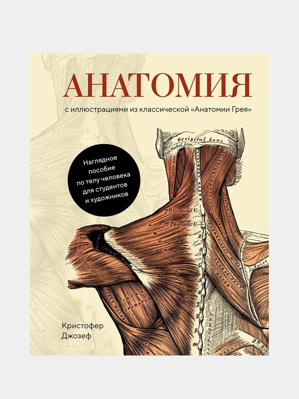 Анатомия  (с иллюстрациями из классической «Анатомии Грея»), Джозеф К.