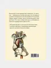 Анатомия  (с иллюстрациями из классической «Анатомии Грея»), Джозеф К.