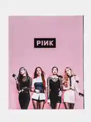 Ледяной тетрадь "Black Pink. K-Pop", 48 листов