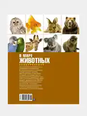 В мире животных (нов.обл.). Энциклопедия, Фулко Пратези, Изабелла Пратези