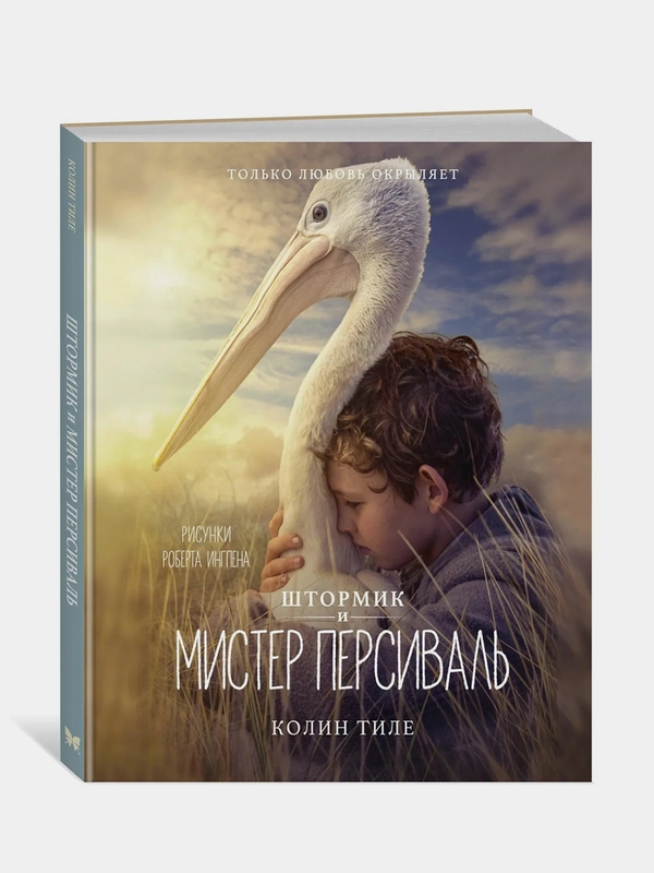 Штормик и мистер Персиваль, Колин Тиле