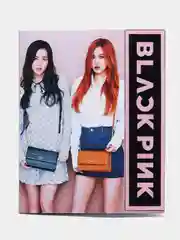 Рыжий тетрадь "Black Pink. K-Pop", 48 листов