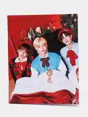 Коричневый тетрадь к-поп "Stray Kids", 48 листов