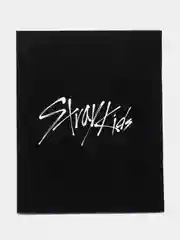 Ледяной тетрадь к-поп "Stray Kids", 48 листов