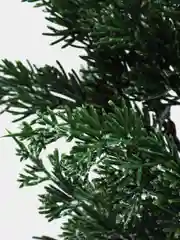 Морской искусственные Ветки елки хвойные кипарис, туя, ветка еловая