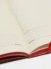 Ежедневник-планер (планинг) - блокнот недатированный А5, Brauberg экокожа, гибкий, 111984