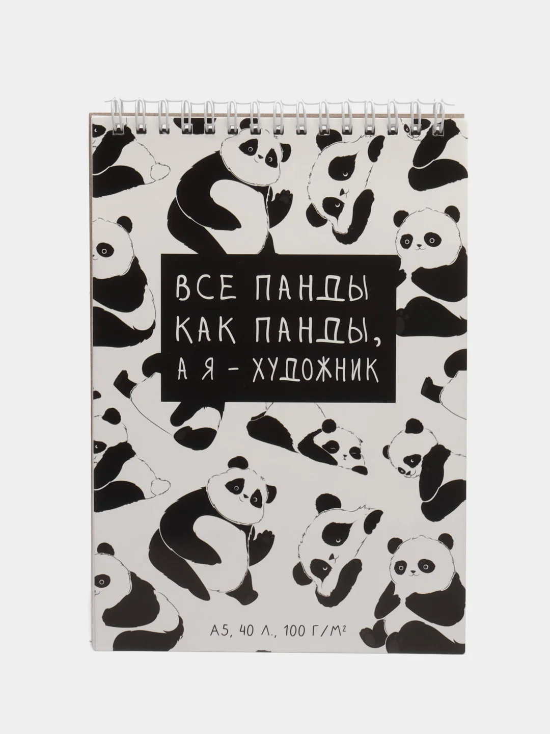 Скетчбук "Панда" А5, 40 листов, 100 г/м2