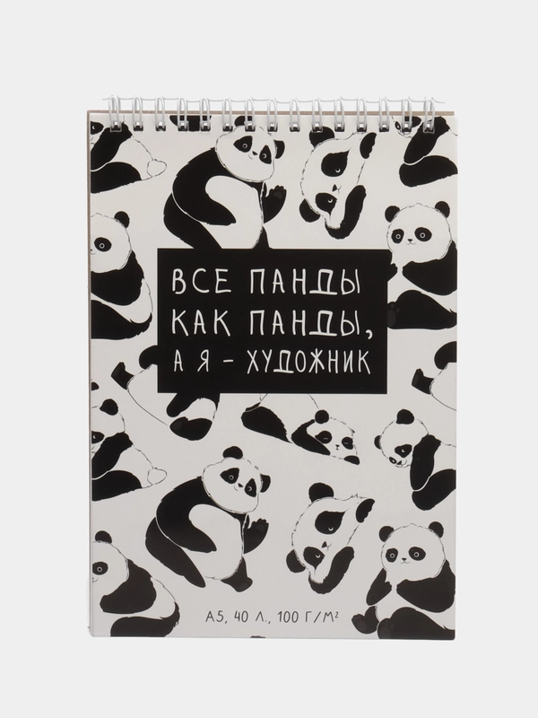 Скетчбук "Панда" А5, 40 листов, 100 г/м2