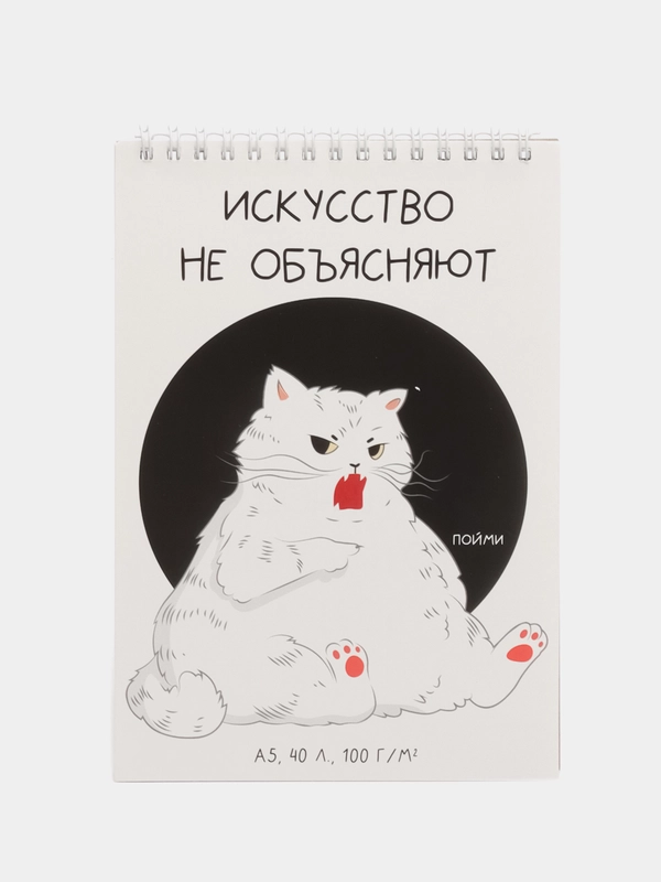 Скетчбук А5 "Кот", 40 листов, 100 г/м2