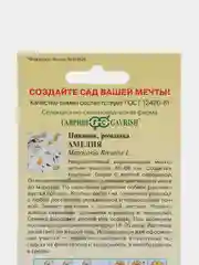 Нивяник "Амелия", семена цветов