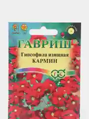 Гипсофила "Кармин", семена цветов