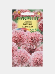 Скабиоза Розовая королева (семена,цветы)