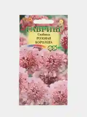 Скабиоза Розовая королева (семена,цветы)