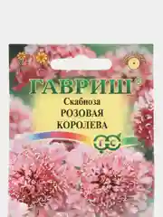 Скабиоза Розовая королева (семена,цветы)