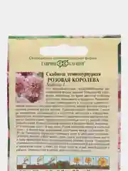 Скабиоза Розовая королева (семена,цветы)