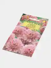Скабиоза Розовая королева (семена,цветы)