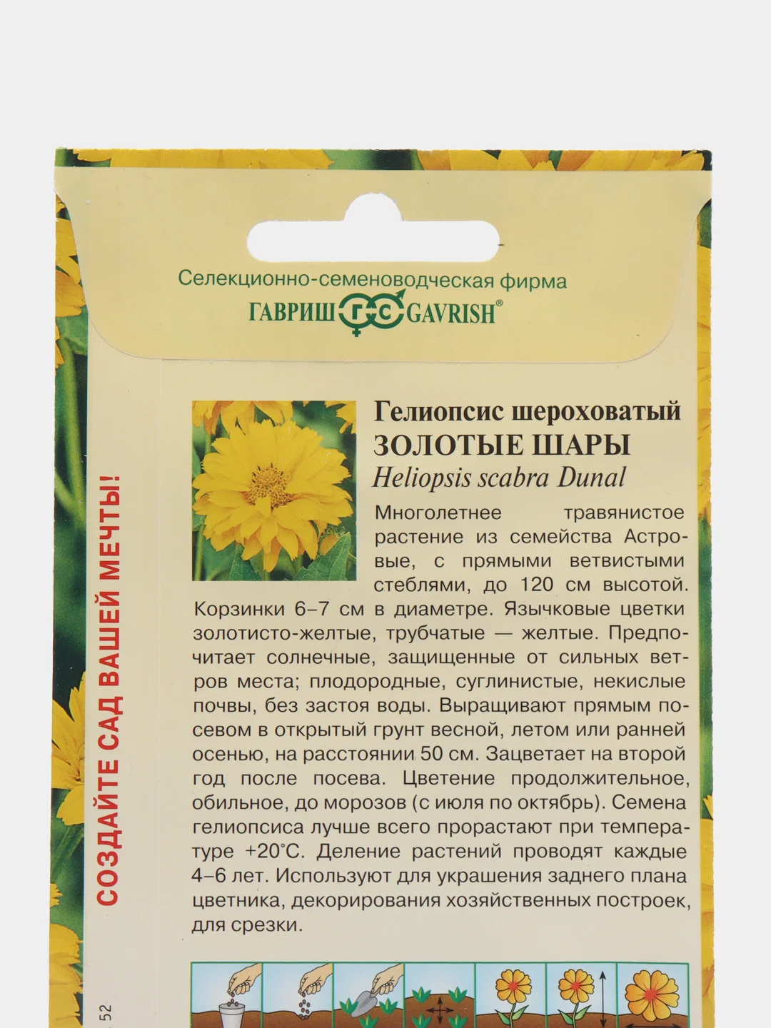Гелеопсис "Золотые шары", семена, цветы