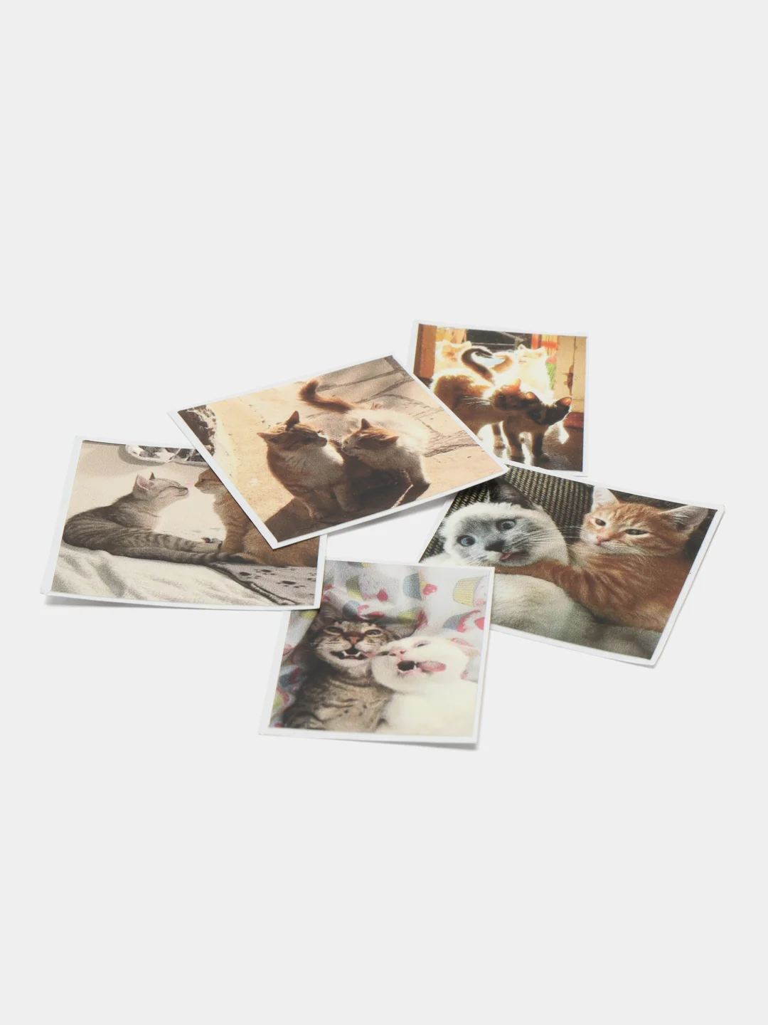 Бежевый наклейки-стикеры "Котики, коты"