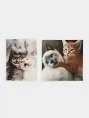 Бежевый наклейки-стикеры "Котики, коты"