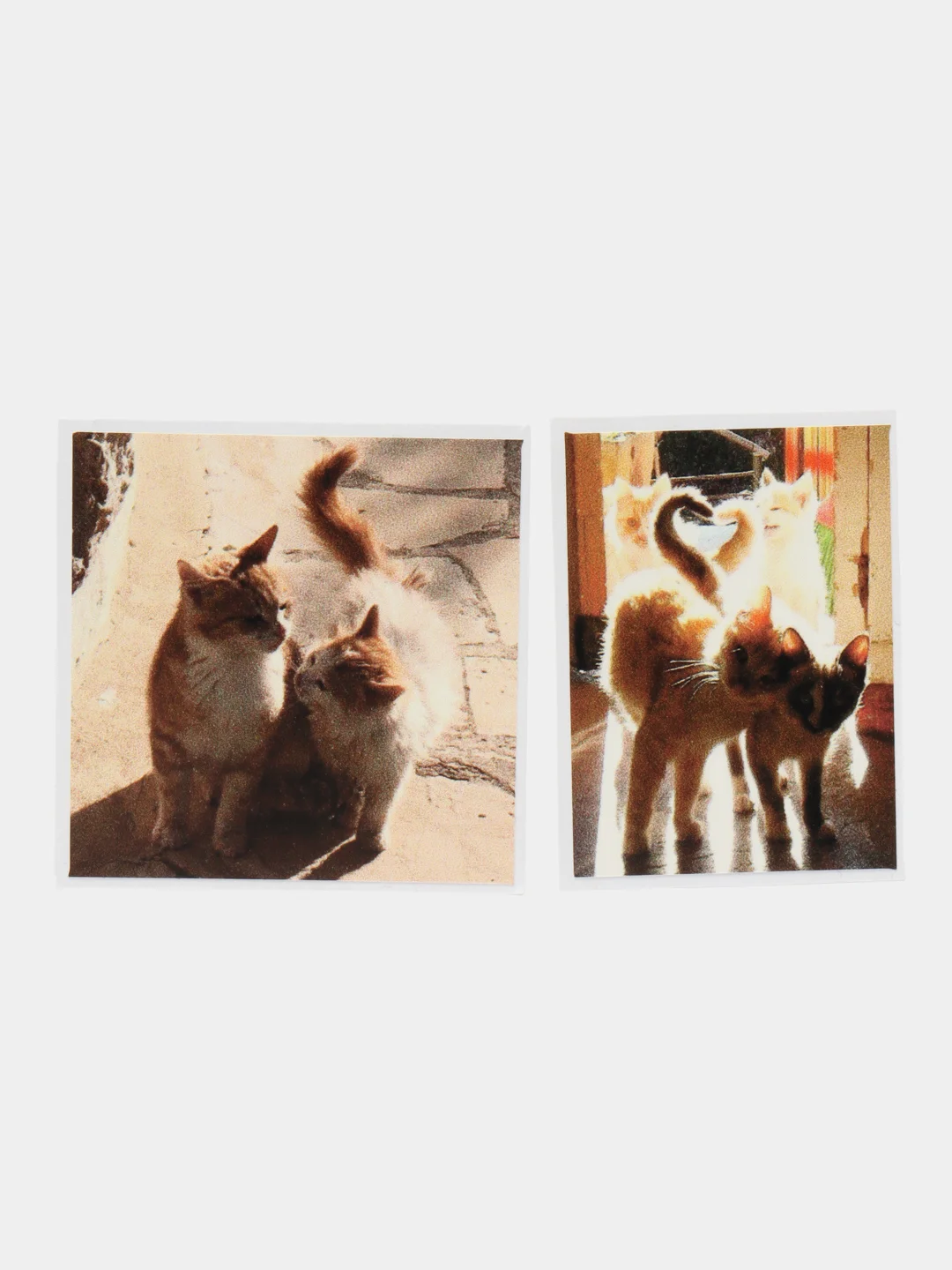 Бежевый наклейки-стикеры "Котики, коты"