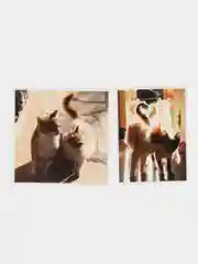 Бежевый наклейки-стикеры "Котики, коты"