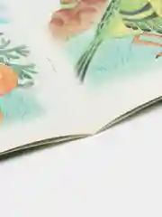 Книга Храбрый кузнечик, сказка для детей