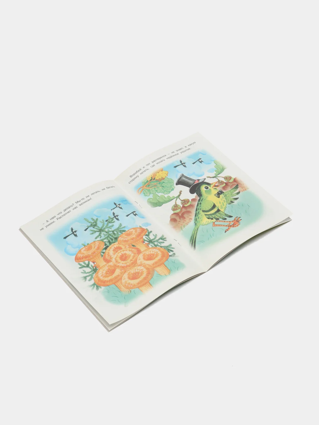 Книга Храбрый кузнечик, сказка для детей
