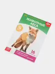 Книги Карточки Домана на скрепке, набор, 8 шт. по 20 стр