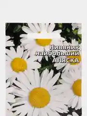 Нивяник "Аляска" семена, цветы