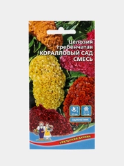 Целозия гребенчатая Коралловый сад, семена, цветы
