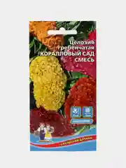 Целозия гребенчатая Коралловый сад, семена, цветы