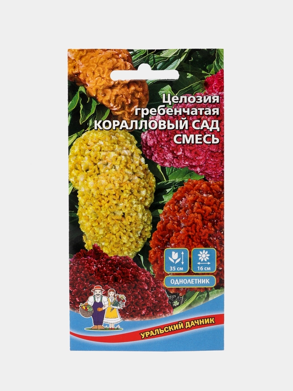 Целозия гребенчатая Коралловый сад, семена, цветы