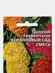Целозия гребенчатая Коралловый сад, семена, цветы