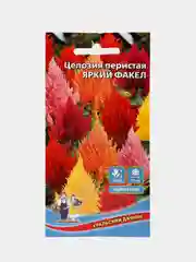 Целозия перистая Яркий факел (семена,цветы)